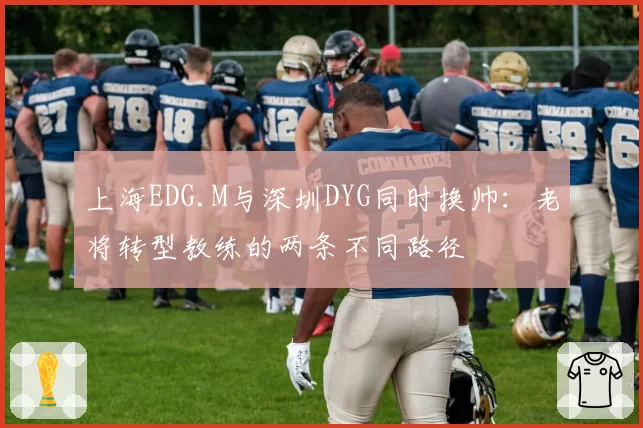 上海EDG.M与深圳DYG同时换帅：老将转型教练的两条不同路径