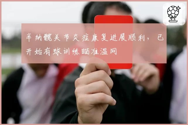 辛纳髋关节炎症康复进展顺利，已开始有球训练瞄准温网