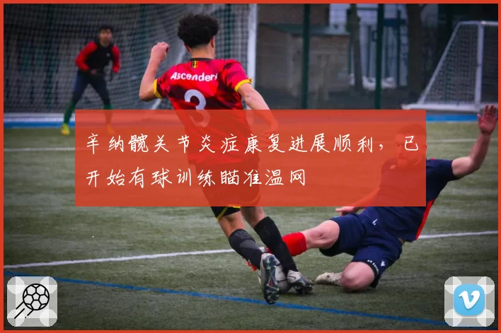 辛纳髋关节炎症康复进展顺利，已开始有球训练瞄准温网