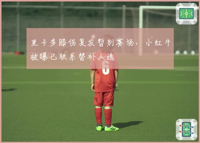 里卡多膝伤复发暂别赛场,小红牛被曝已联系替补人选